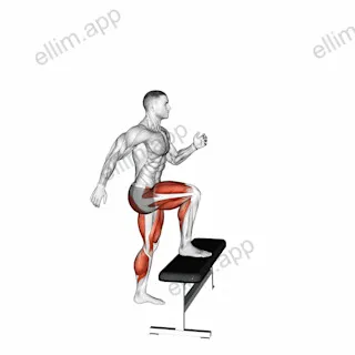 Jump Step Up exercise targeting Cardio
