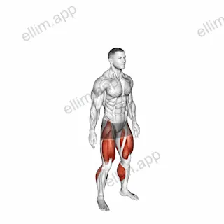 Jump Twist exercise targeting Plyometrics