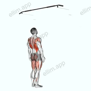 Jumping Pull up exercise targeting Back