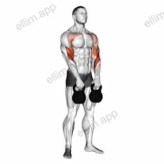 Kettlebell Alternating Hang Clean exercise targeting Forearms and Biceps Brachii