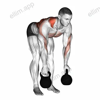 Kettlebell Alternating Row exercise targeting Back and Infraspinatus