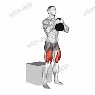 Kettlebell Box Squat exercise targeting Hips and Gluteus Maximus