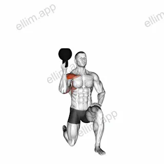 Kettlebell Half Kneeling One Arm Bottoms-up Press exercise targeting Shoulders