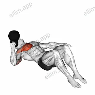 Kettlebell Lying on Floor Single Arm Bottoms-up Chest Press exercise targeting Chest