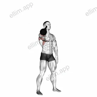 Kettlebell One Arm Military Press To The Side exercise targeting Shoulders and Deltoid Anterior