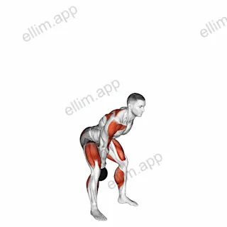 Kettlebell One Arm Snatch exercise targeting Shoulders and Deltoid Anterior