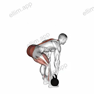 Kettlebell Romanian Deadlift exercise targeting Hips