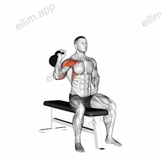 Kettlebell Seated One Arm Military Press exercise targeting Shoulders and Deltoid Anterior