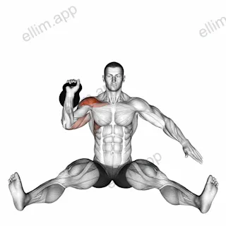 Kettlebell Seated Press exercise targeting Shoulders and Deltoid Anterior