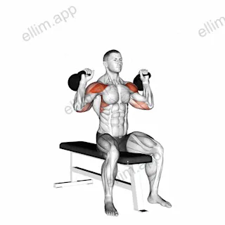 Kettlebell Seated Two Arm Military Press exercise targeting Shoulders and Deltoid Anterior