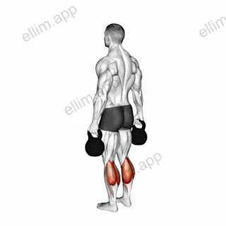 Kettlebell Standing Calf Raise exercise targeting Calves