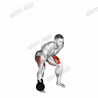 Kettlebell Suitcase Deadlift exercise targeting Hips and Gluteus Maximus