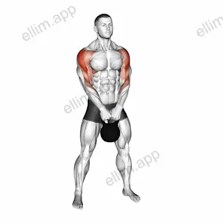 Kettlebell Upright Row exercise targeting Shoulders and Deltoid Lateral