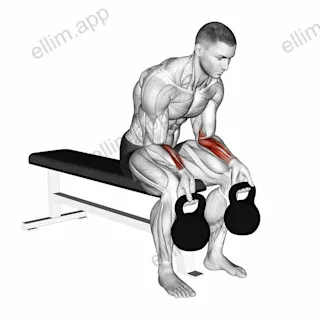 Kettlebell Wrist Curl exercise targeting Forearms