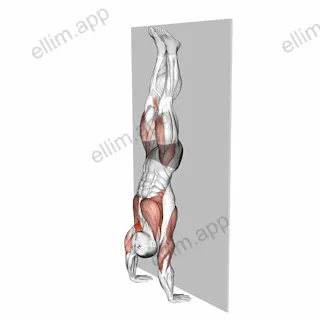 Kipping Handstand Push-up exercise targeting Shoulders