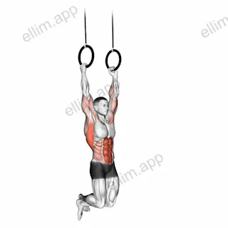 Kipping Muscle Up exercise targeting Back and Latissimus Dorsi