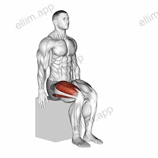 Knee - Extension exercise targeting Thighs