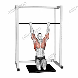Kneeling Assisted Sliding Chin-up exercise targeting Back and Infraspinatus