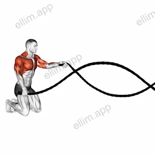 Kneeling Battling Ropes exercise targeting Plyometrics