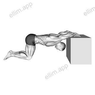 Kneeling Chest Stretch exercise targeting Chest