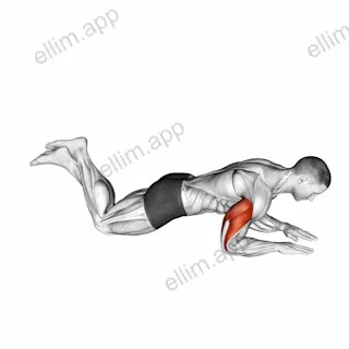 Kneeling Half Triceps Extension exercise targeting Upper Arms