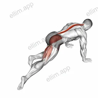 Kneeling Leg Half Circle exercise targeting Hips and Adductor Brevis