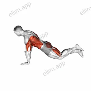 Kneeling Modified Hindu Push-up exercise targeting Waist