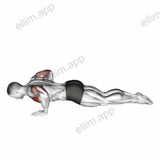 Kneeling Push-up exercise targeting Chest and Pectoralis Major Clavicular Head