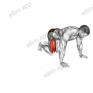 Kneeling Side Leg to Kick exercise targeting Hips and Gluteus Maximus