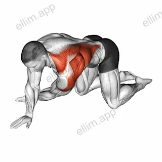 Kneeling T Spine Mobility Stretching exercise targeting 