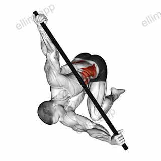 Kneeling T Spine Mobility exercise targeting Waist