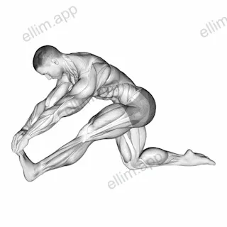 Kneeling Toe Up Hamstring Stretch exercise targeting Thighs
