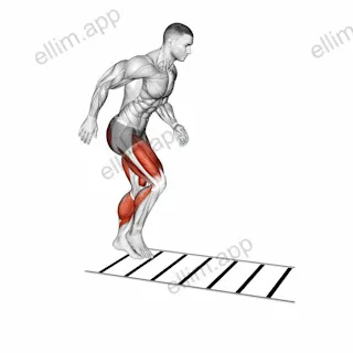 Ladder Drill exercise targeting Plyometrics