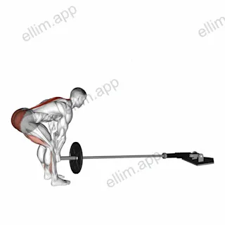 Landmine Deadlift exercise targeting Hips
