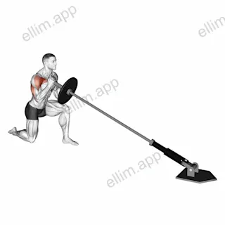 Landmine Kneeling One Arm Shoulder Press exercise targeting Shoulders and Deltoid Anterior