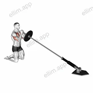 Landmine Kneeling Squeeze Press exercise targeting Chest and Pectoralis Major Clavicular Head