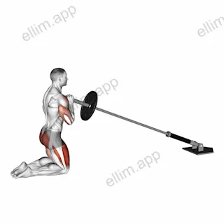 Landmine Kneeling Thruster Press exercise targeting Deltoid Anterior and Gluteus Maximus