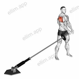 Landmine Lateral Raise exercise targeting Shoulders and Deltoid Lateral