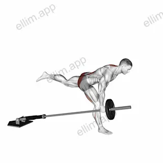 Landmine One Leg Stiff Leg Deadlift exercise targeting Hips