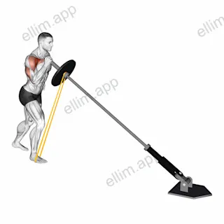 Landmine Resistance Band One Arm Shoulder Press exercise targeting Shoulders