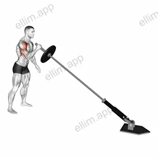 Landmine Single Arm Press exercise targeting Shoulders and Pectoralis Major Sternal Head
