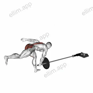 Landmine Single Leg Landmine RDL exercise targeting Hips and Erector Spinae