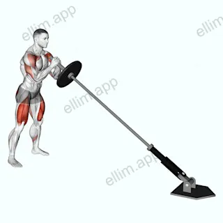 Landmine Squat and Press exercise targeting Deltoid Anterior and Gluteus Maximus
