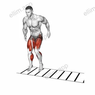 Lateral Ladder Drill exercise targeting Plyometrics