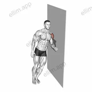 Lateral Raise with Towel exercise targeting Shoulders and Deltoid Lateral