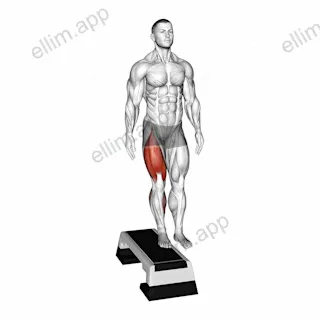 Lateral Step-up exercise targeting Thighs and Gluteus Maximus