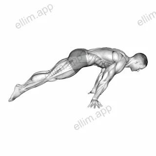 Lean Planche exercise targeting Waist