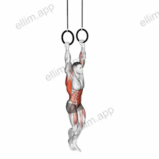 Leg Assisted Ring Pull-up exercise targeting Back