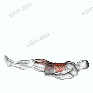 Leg Raise Hip Lift with Head up exercise targeting Waist and Iliopsoas