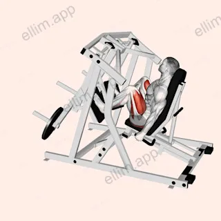 Lever Alternate Leg Press (plate loaded) exercise targeting Hips and Thighs